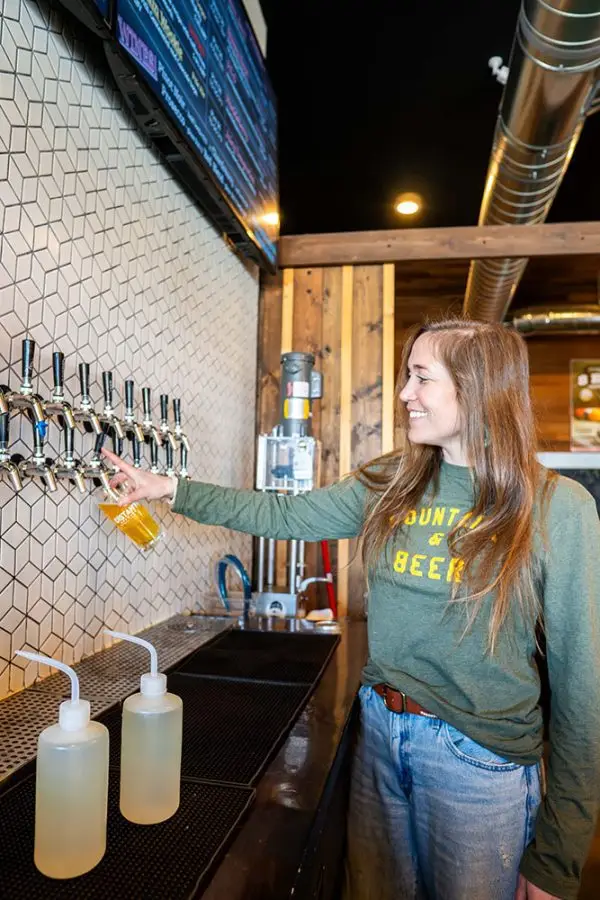 mountains and beer long sleeve green shirt side