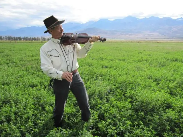 fiddlin pete distant brewing live music mammoth lakes