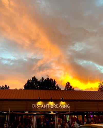 Social Distanting Barrel Garden